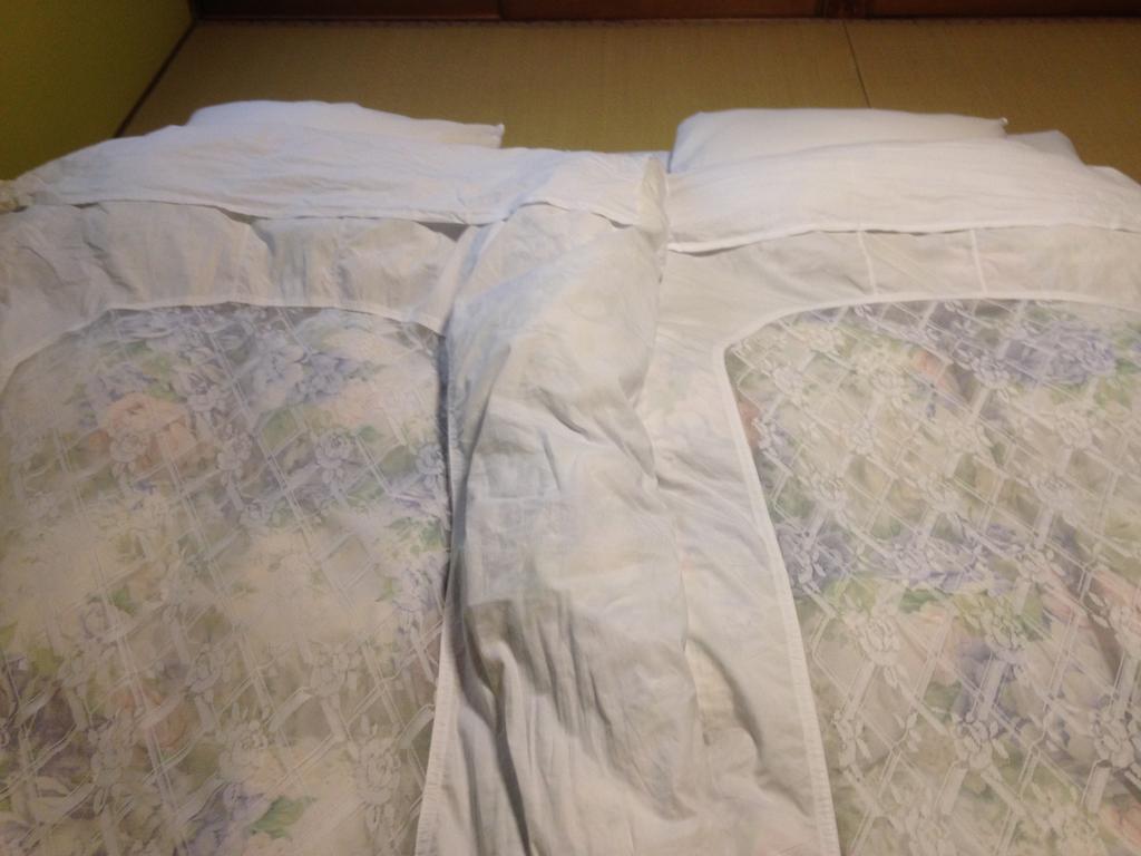 Chuokan Shimizuya Ryokan Nagano Luaran gambar